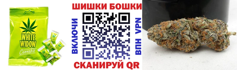 Canna-Cookies марихуана  наркотики  Новая Ладога 