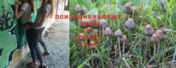 COCAINE Алзамай
