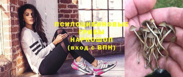 наркотики Алексин