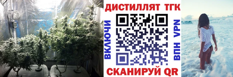 Дистиллят ТГК вейп с тгк  наркота  Новая Ладога 