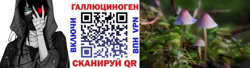 Псилоцибиновые грибы мицелий  Новая Ладога 